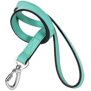 Hugs & Kisses Dog Leash in Turquoise & Nickel