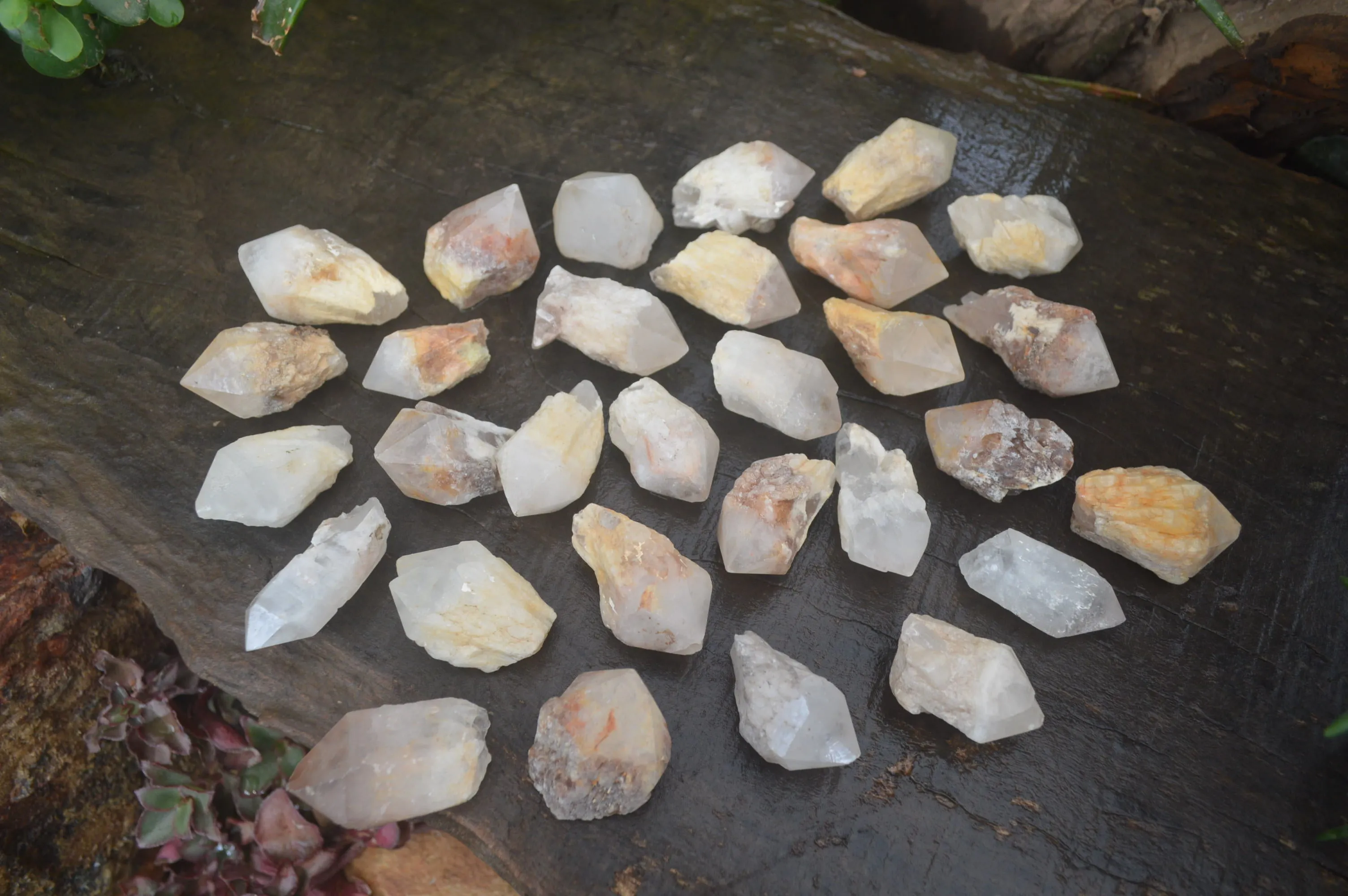 Natural Pineapple Candle Quartz Crystals x 63 From Antsirabe, Madagascar