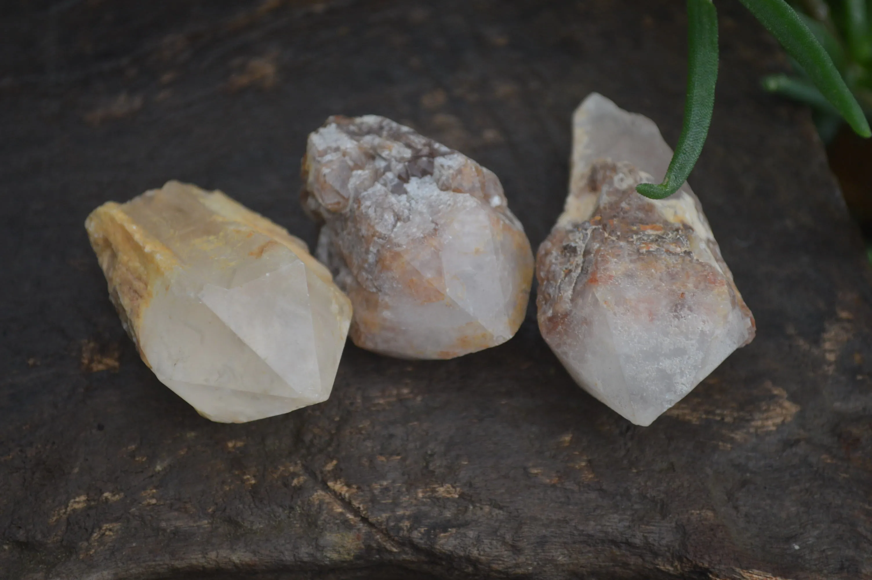 Natural Pineapple Candle Quartz Crystals x 63 From Antsirabe, Madagascar